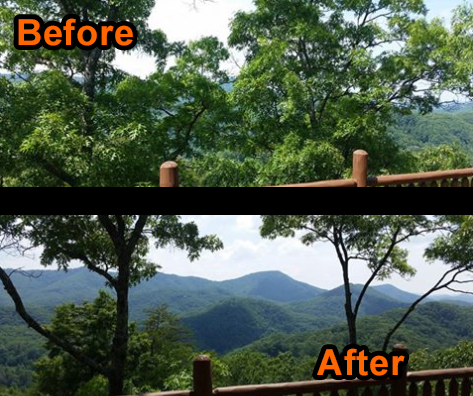 Creating better views