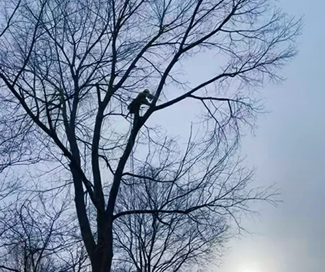 Opening Up the View